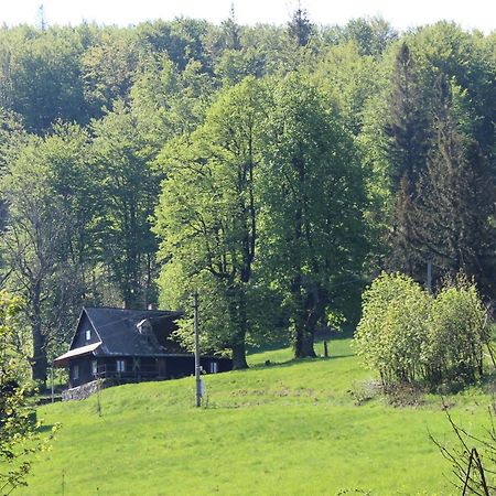 Horska Chata Plenisko Villa Nydek Eksteriør bilde